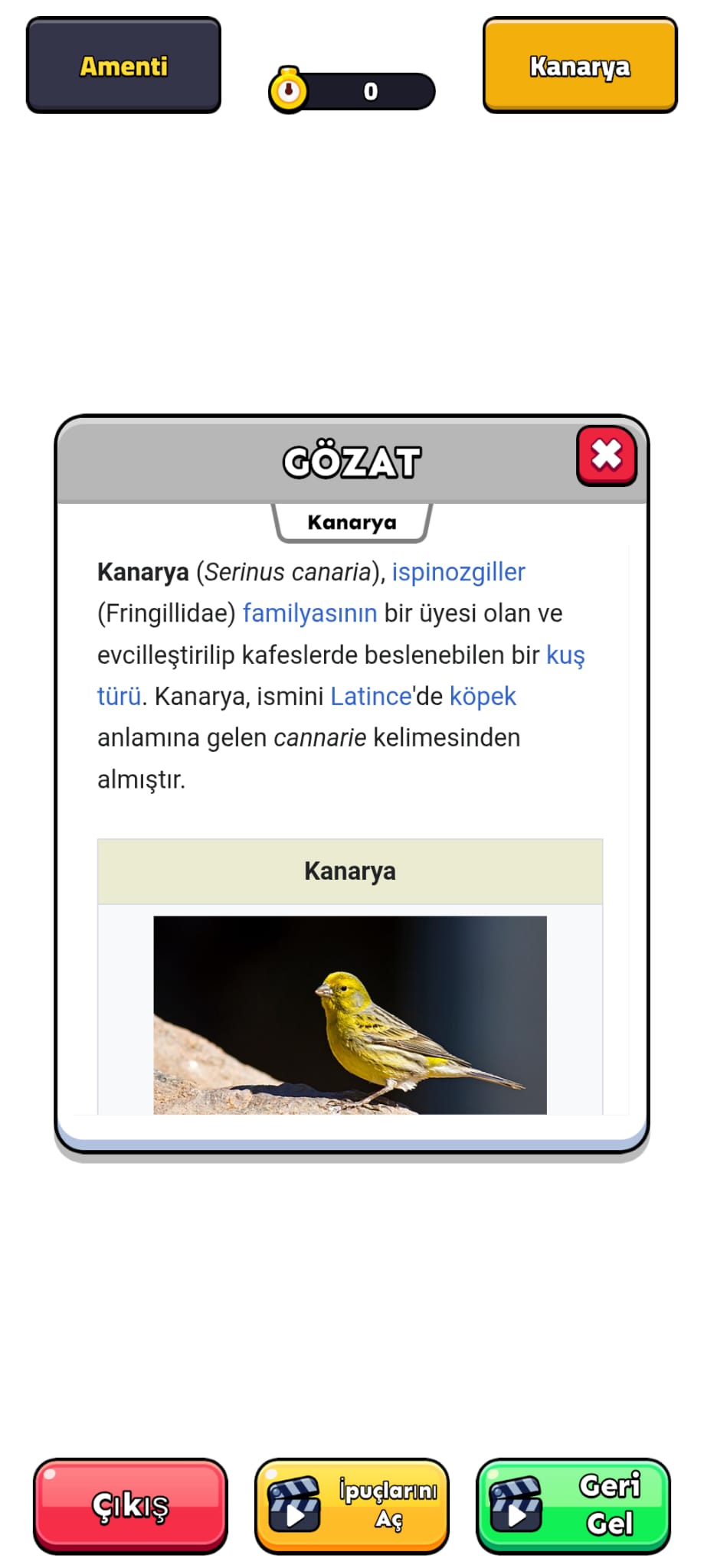 Oyun İçi Görüntü 2